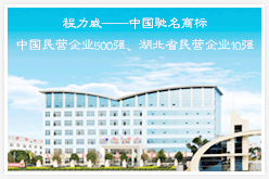 奥林匹斯之门试玩公司办公楼